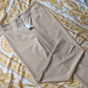 🆕 Talbot's classic side zip beige color pants size 10